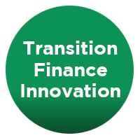 Transition Financing: Taxonomy, Tools & Strategies